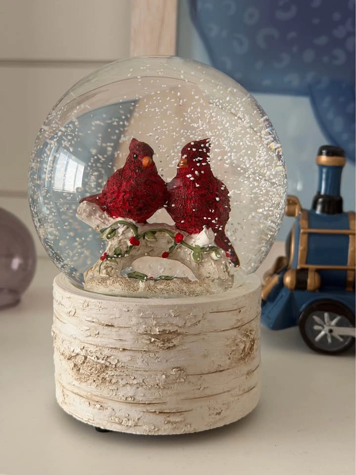 Snow Globe - photo 4