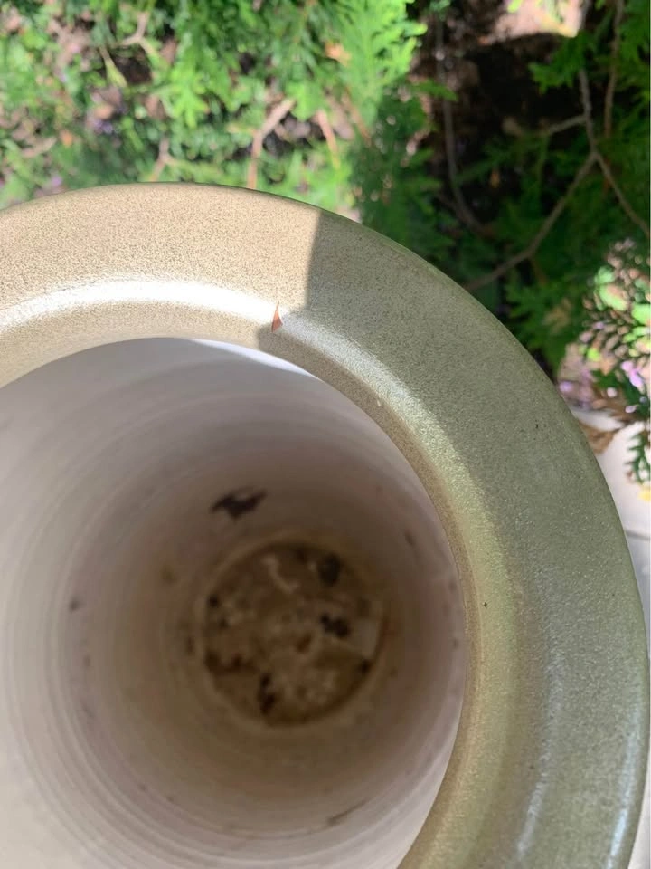 Mica Tall Ceramic Garden Planter Gold/Beige $40 - photo 5