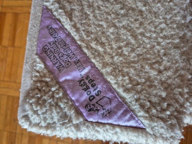 Dog steps - photo 2