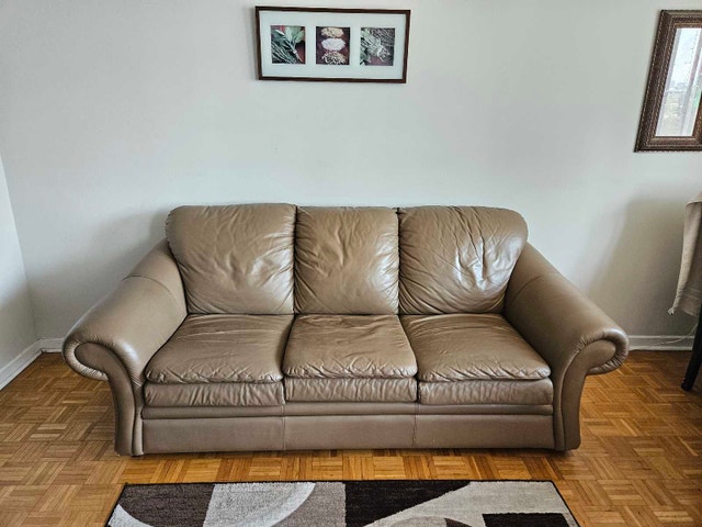 Leather Sofa Bed