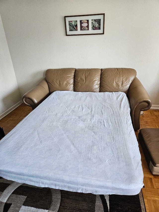 Leather Sofa Bed - photo 5