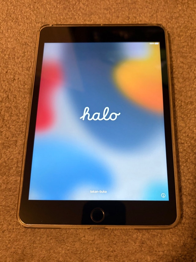 iPad mini 4 - photo 3