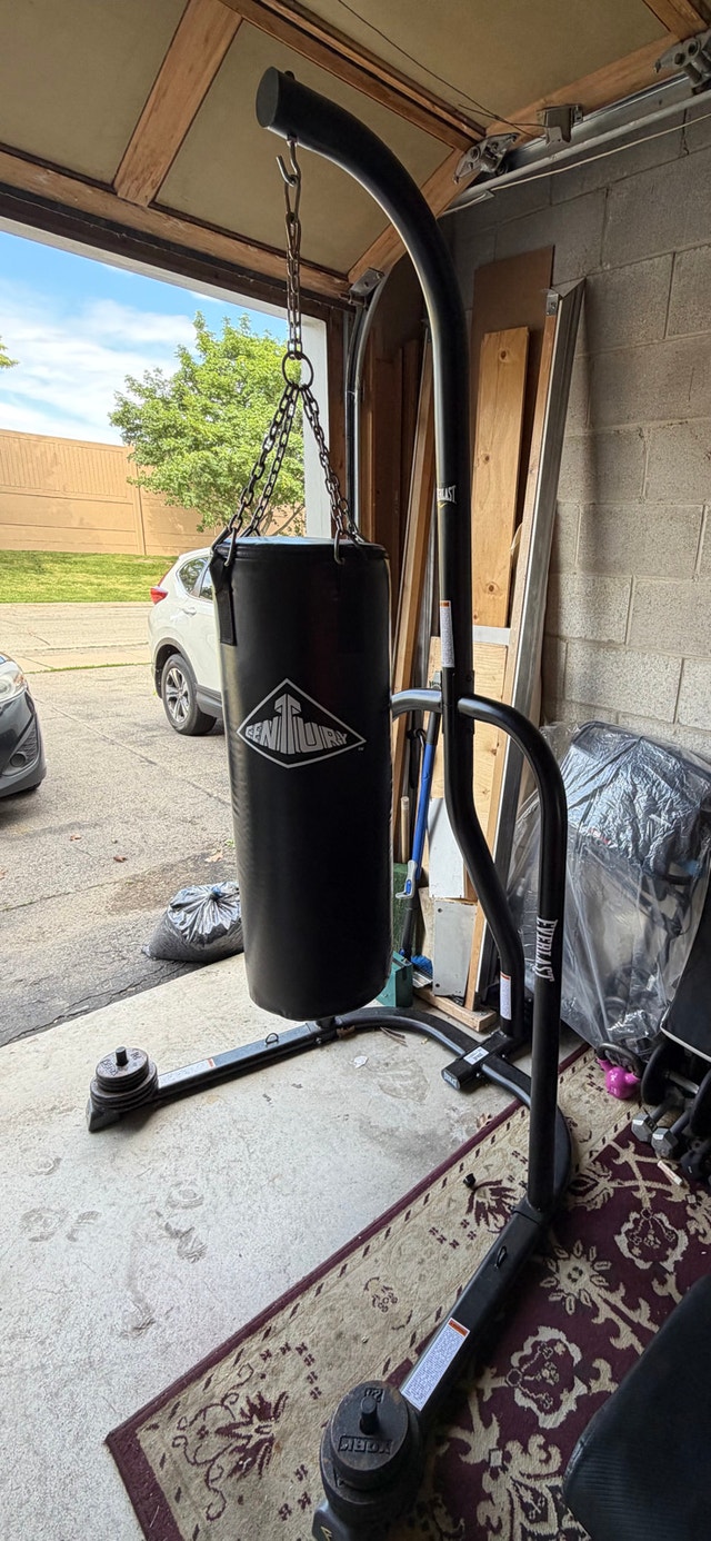 Everlast heavy bag stand