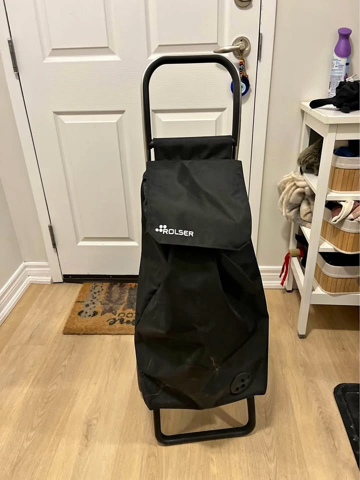 Shopping cart for groceries