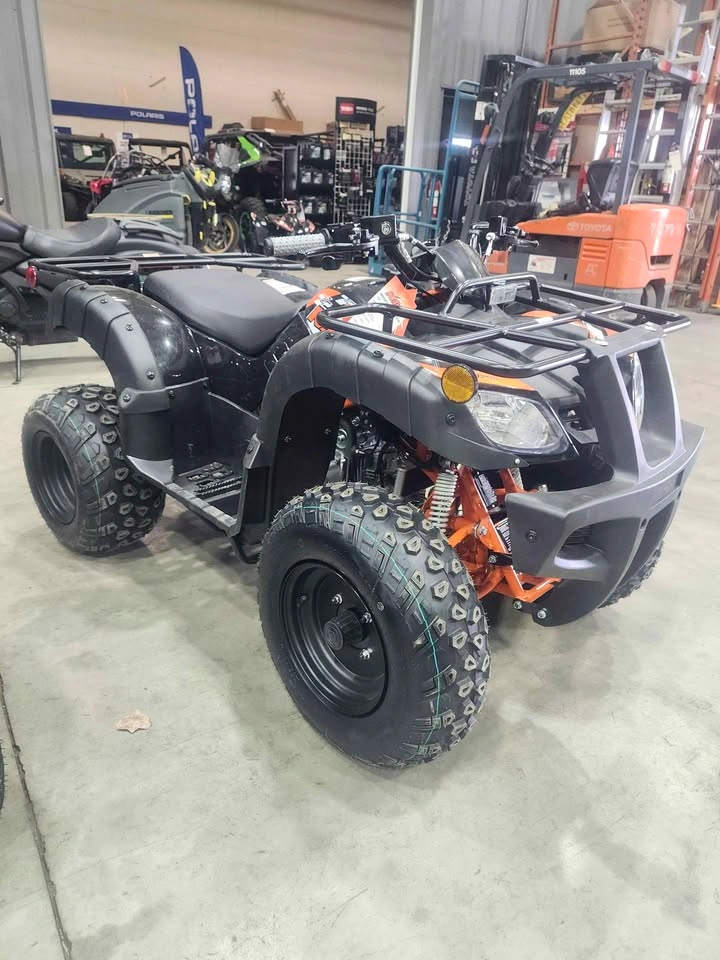 2026 Kayo BULL 150 - photo 2