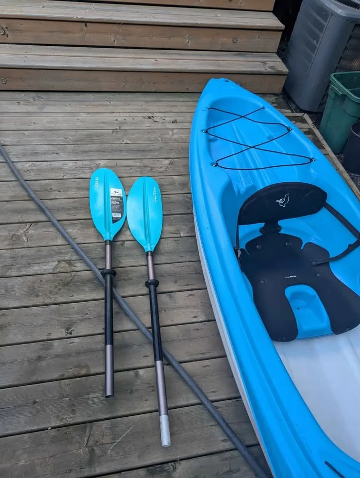 Set of two Kayaks with paddles and kayak car rack image indicator(4)