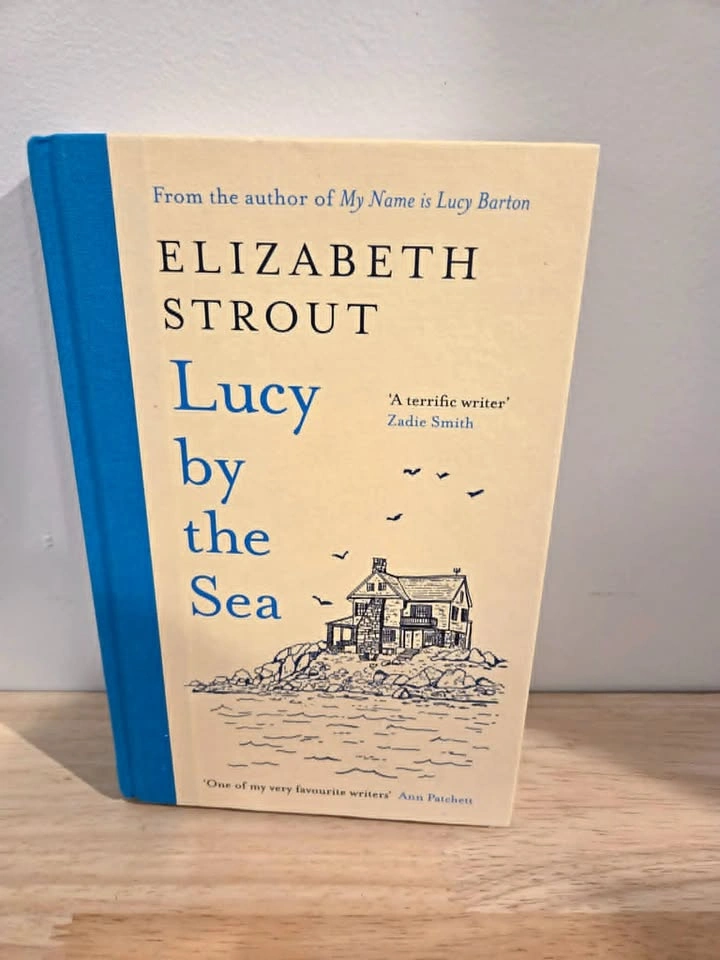 Lucy by the Sea (Hardcover)