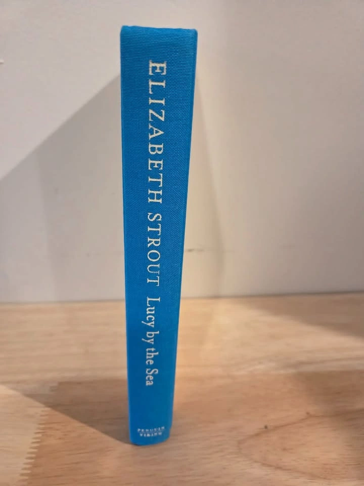 Lucy by the Sea (Hardcover) - photo 2