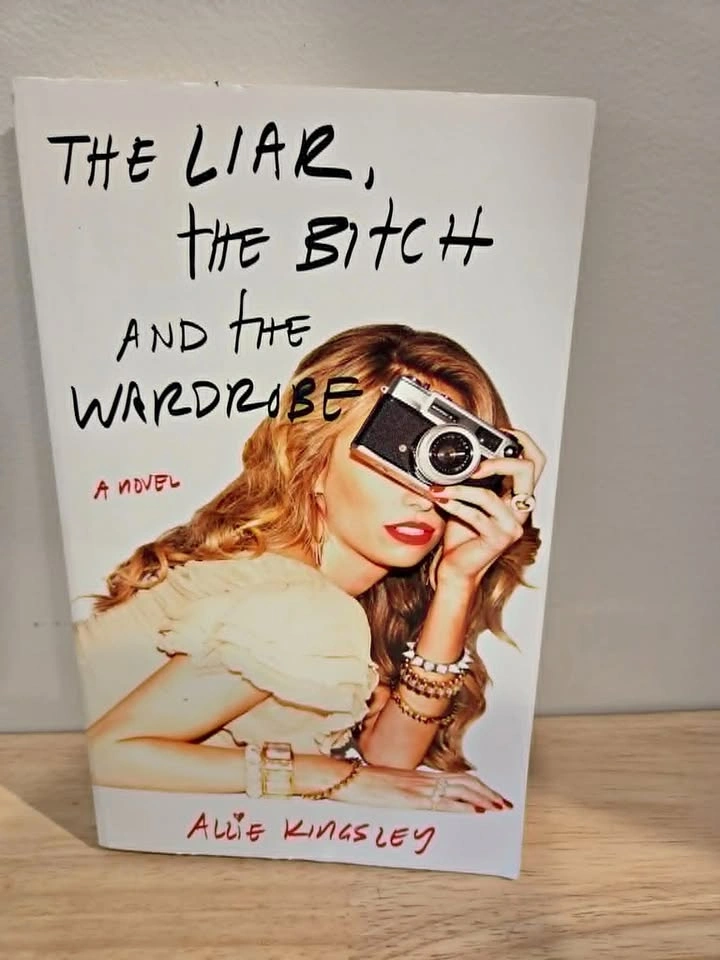 The Liar, the Bi*ch and the Wardrobe: A Novel