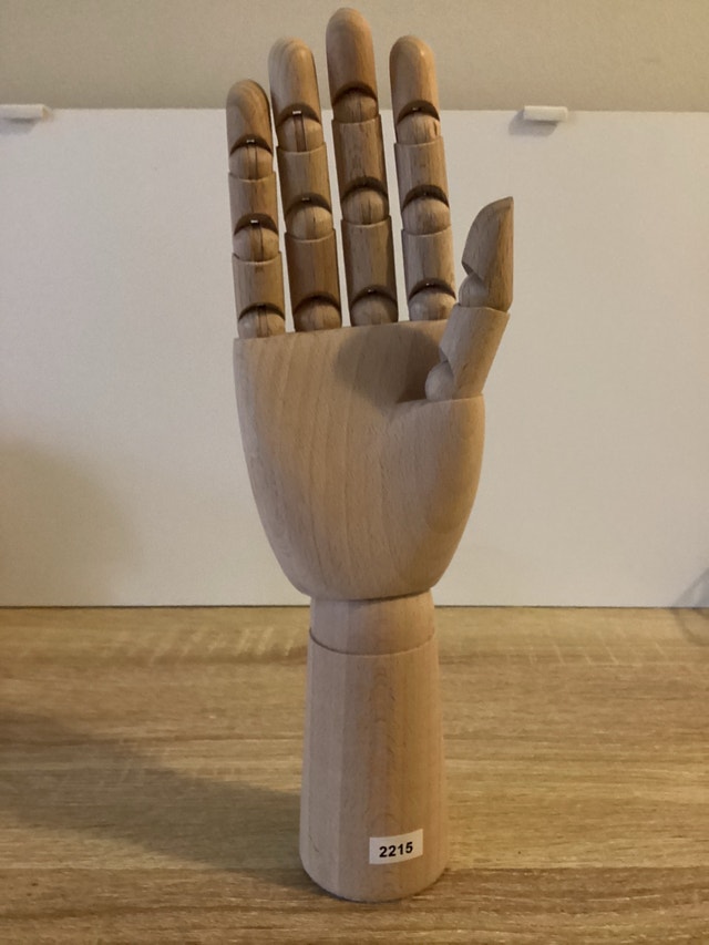 Adjustable Hand Model - photo 3