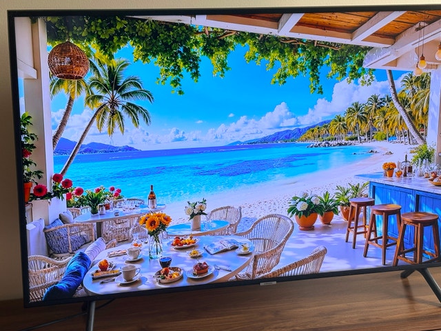 Samsung TV 55 inch