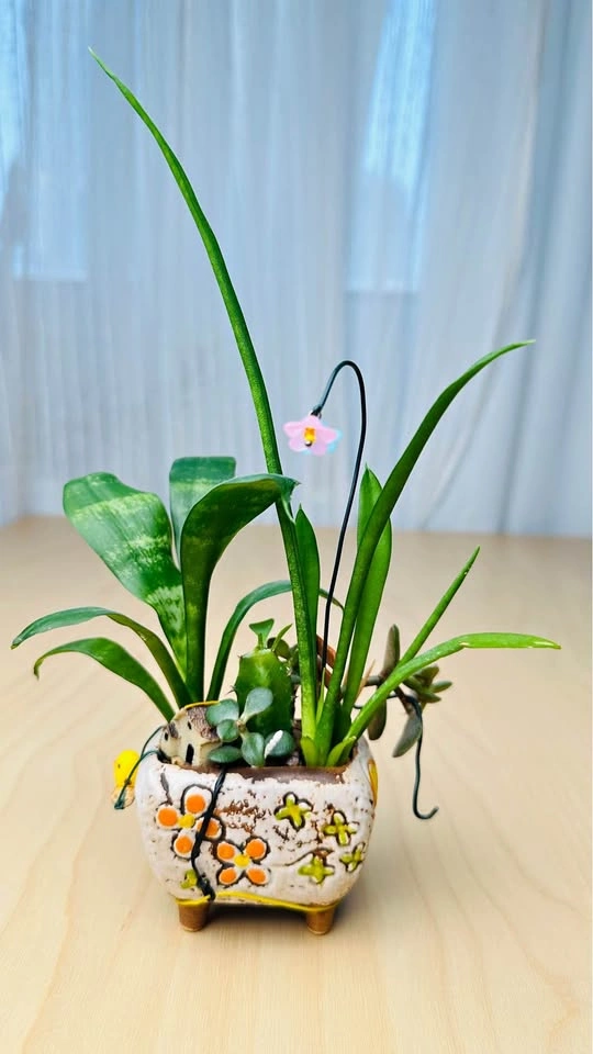 Cute plant arrangement