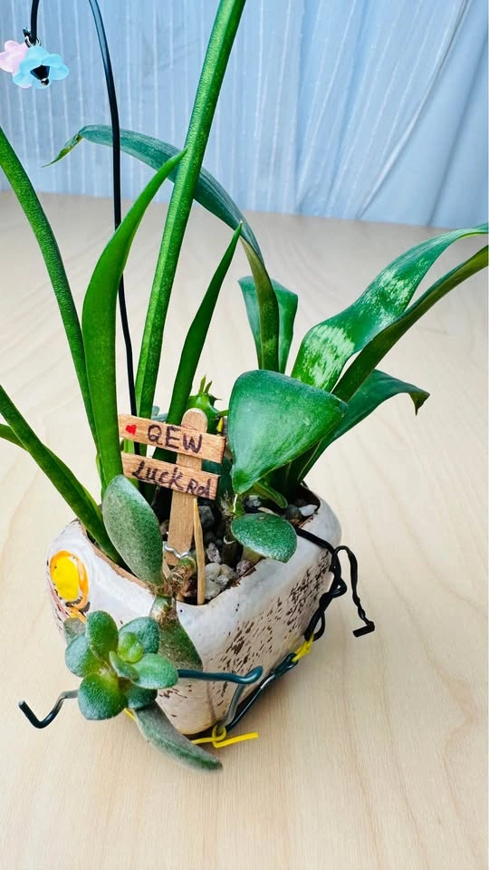 Cute plant arrangement - photo 3