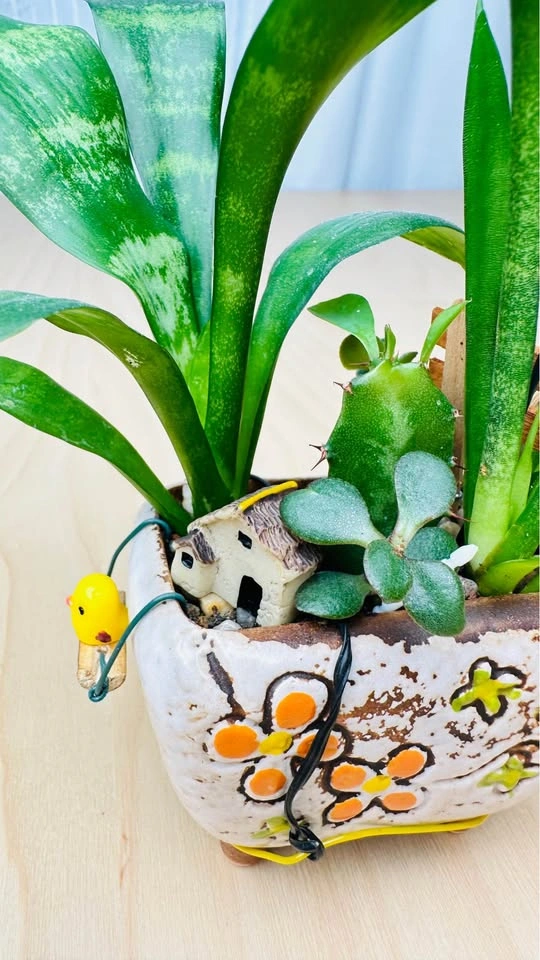 Cute plant arrangement - photo 4