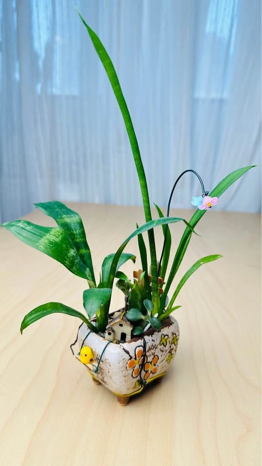Cute plant arrangement - photo 5