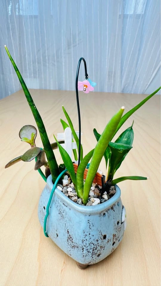 Cute plant arrangement - photo 3