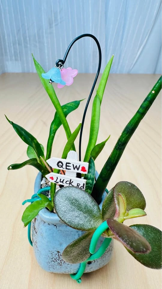 Cute plant arrangement - photo 5