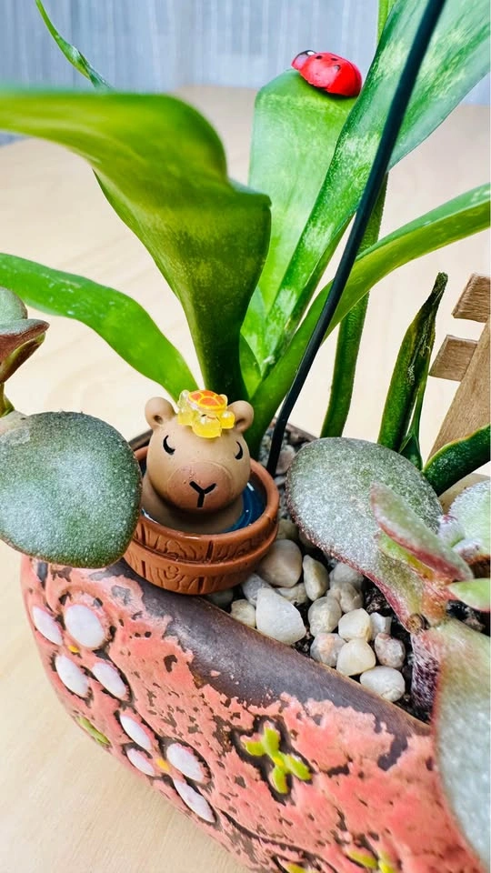 Cute plant Arrangement - photo 2