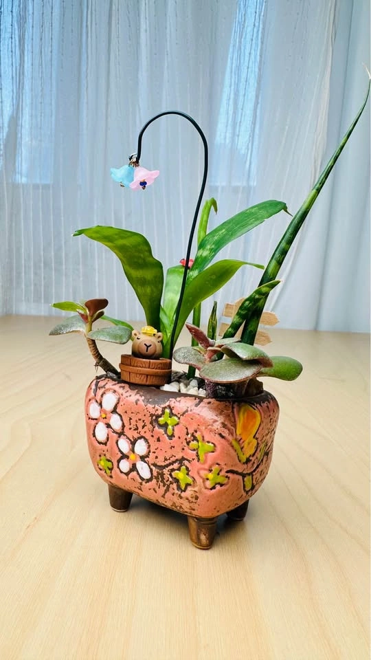 Cute plant Arrangement - photo 3