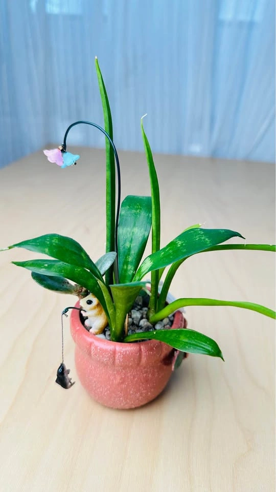 Cute plant Arrangement - photo 2