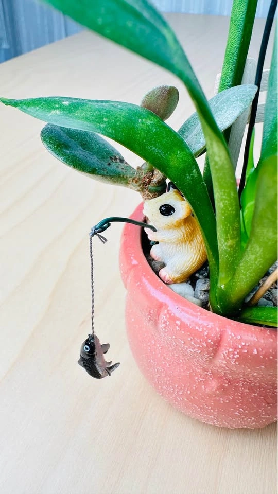 Cute plant Arrangement - photo 3