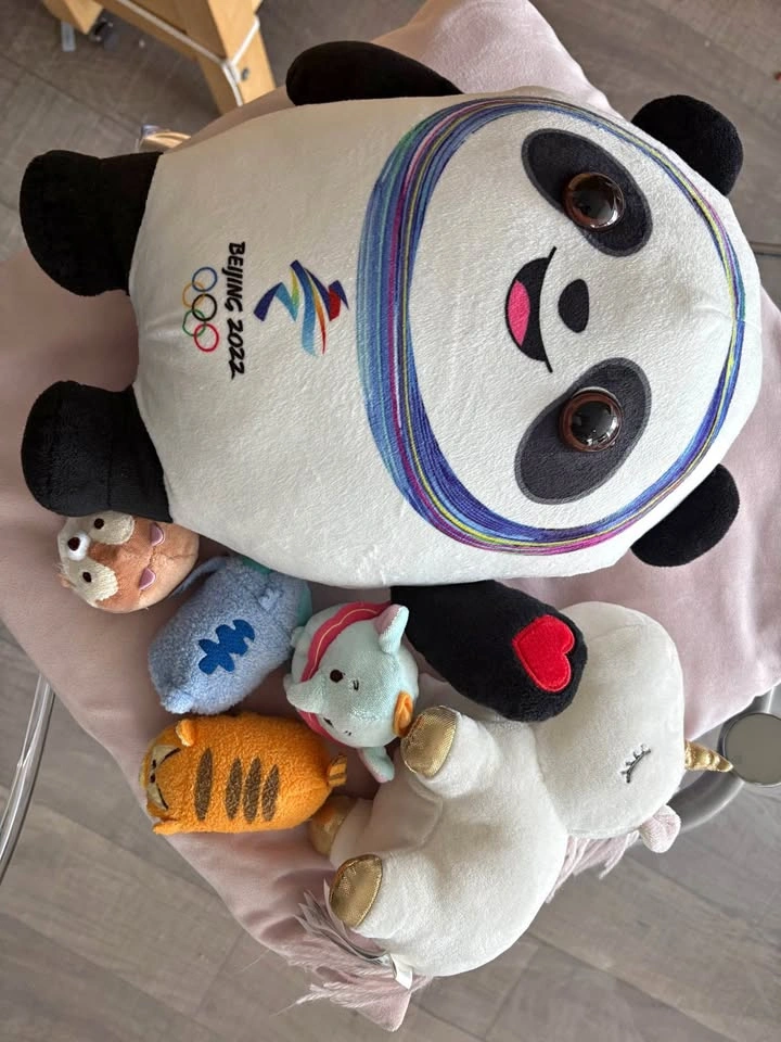 Plush Toy Bundle – Beijing 2022 Panda, H&M Unicorn & Mini Animal