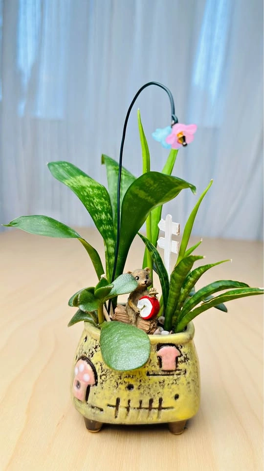 Cute Miniature Succulent Garden