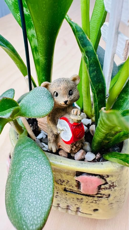 Cute Miniature Succulent Garden - photo 2
