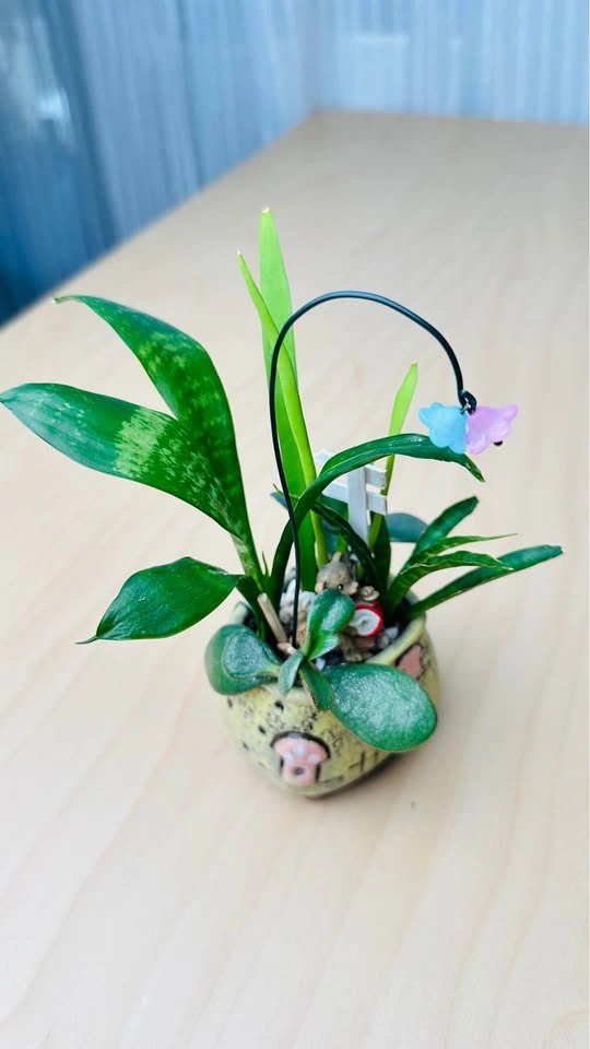 Cute Miniature Succulent Garden - photo 3