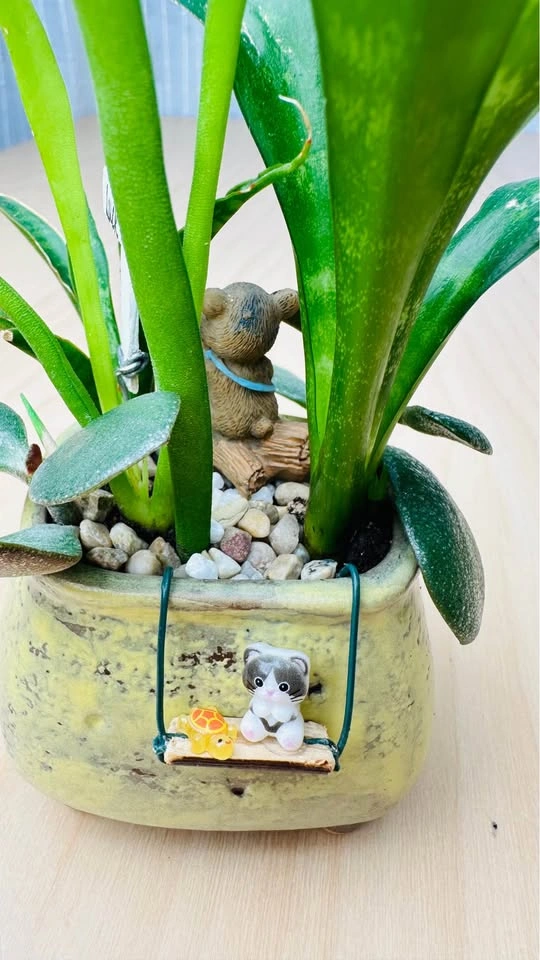 Cute Miniature Succulent Garden - photo 5