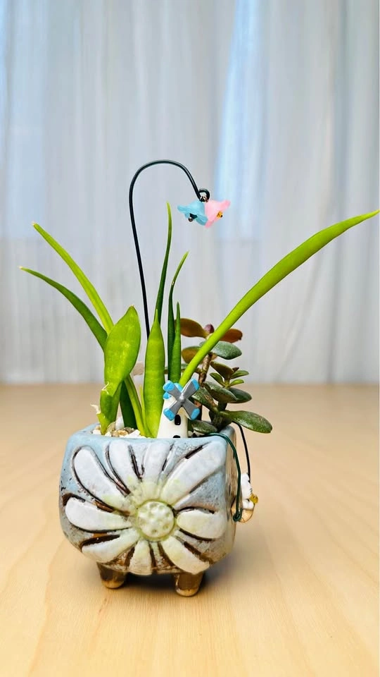Cute Miniature Succulent Arrangement