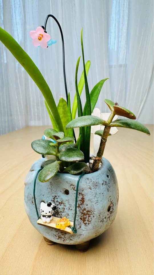 Cute Miniature Succulent Arrangement - photo 2