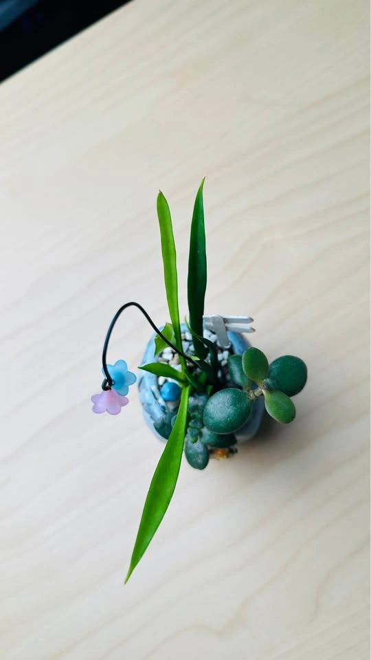 Cute Miniature Succulent Arrangement - photo 4