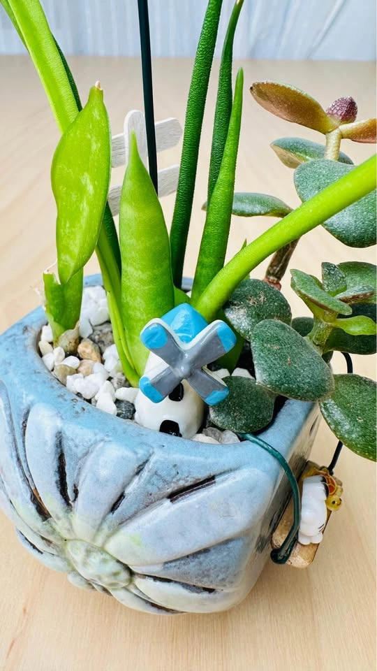 Cute Miniature Succulent Arrangement - photo 5