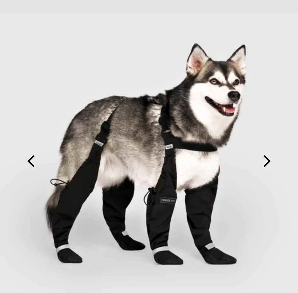 Canada Pooch Suspender Dog Boots - Size 3