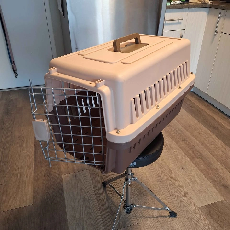 Hard Plastic Pet Carrier - Kennel - Small - photo 2