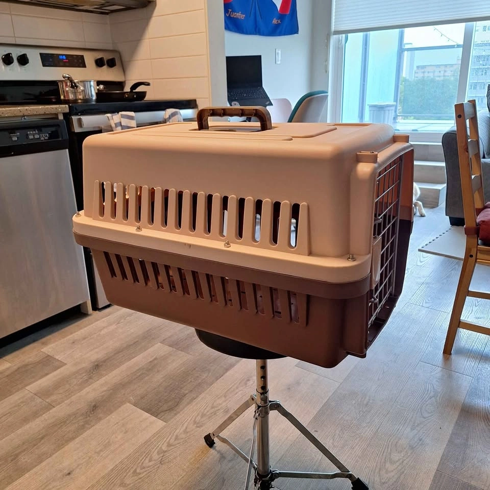 Hard Plastic Pet Carrier - Kennel - Small - photo 5