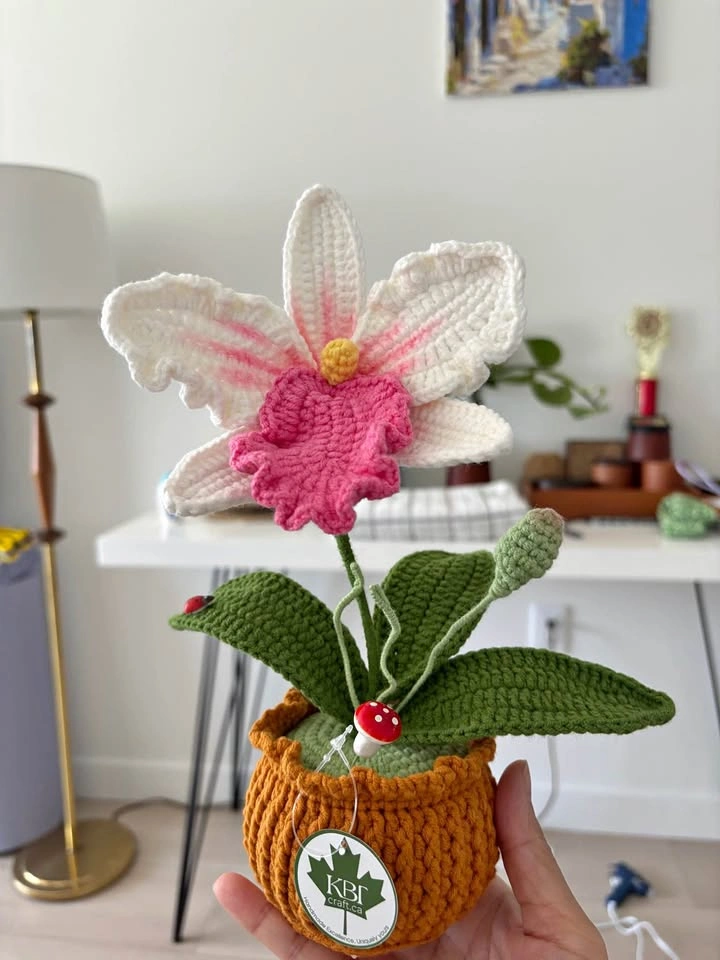 Handmade Crochet Orchid Pot – Beautiful Gift & Decor