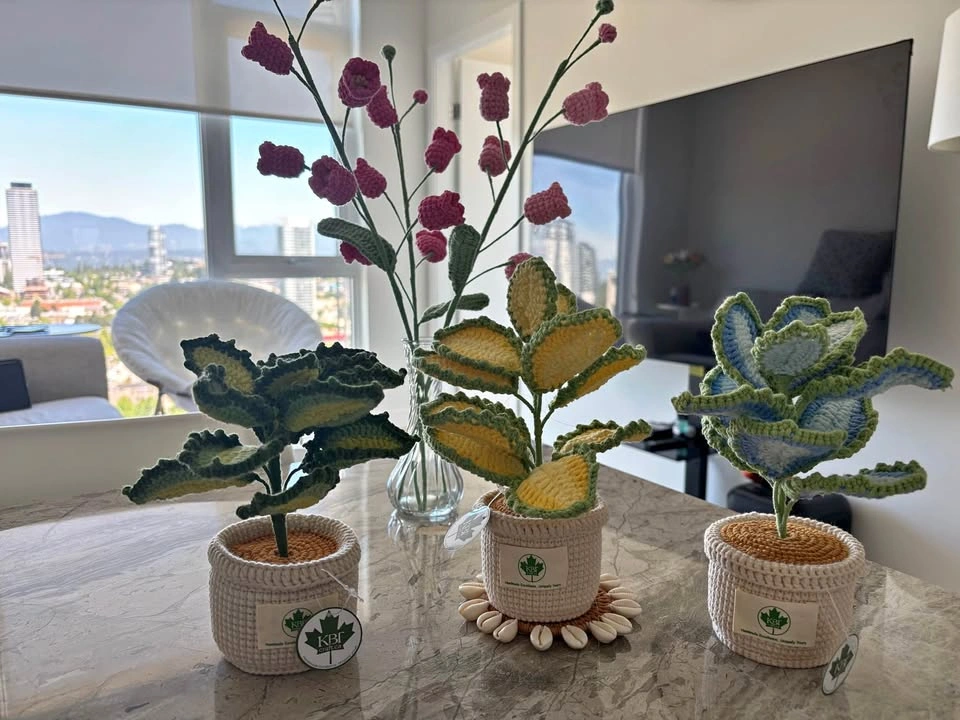 Handmade Crochet Plant Pots