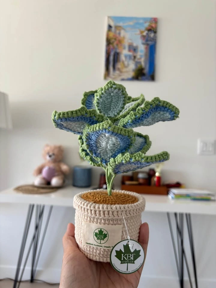 Handmade Crochet Plant Pots - photo 2