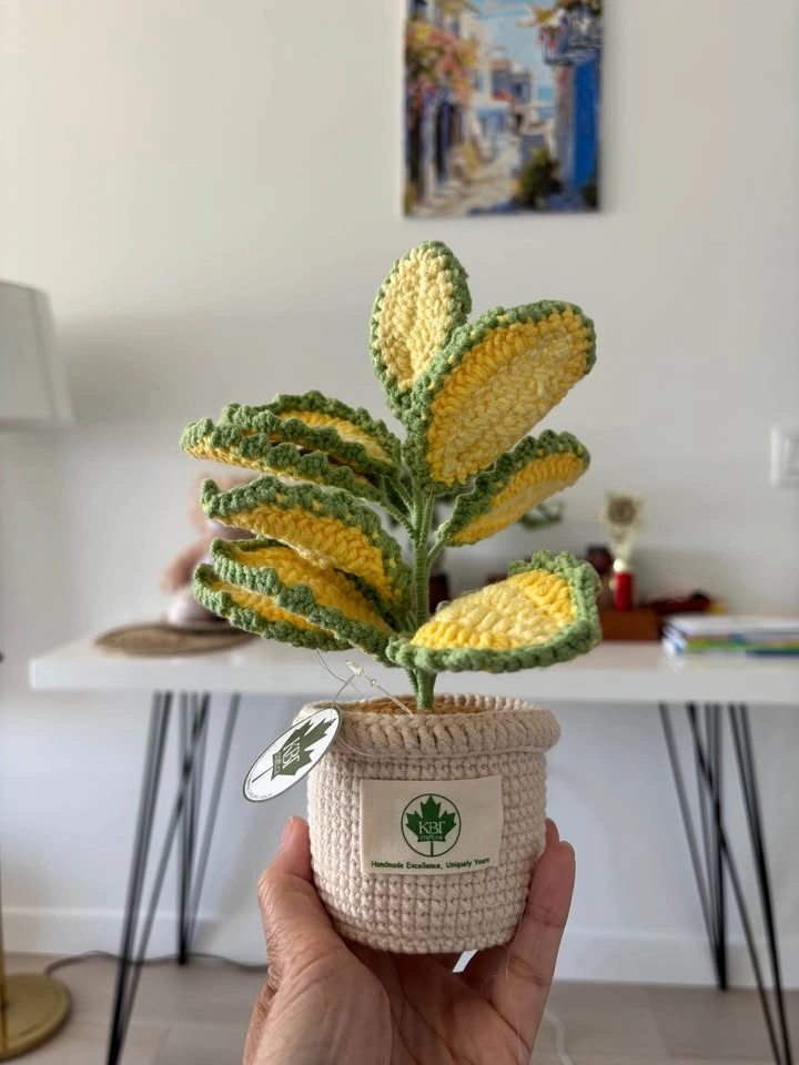 Handmade Crochet Plant Pots - photo 3