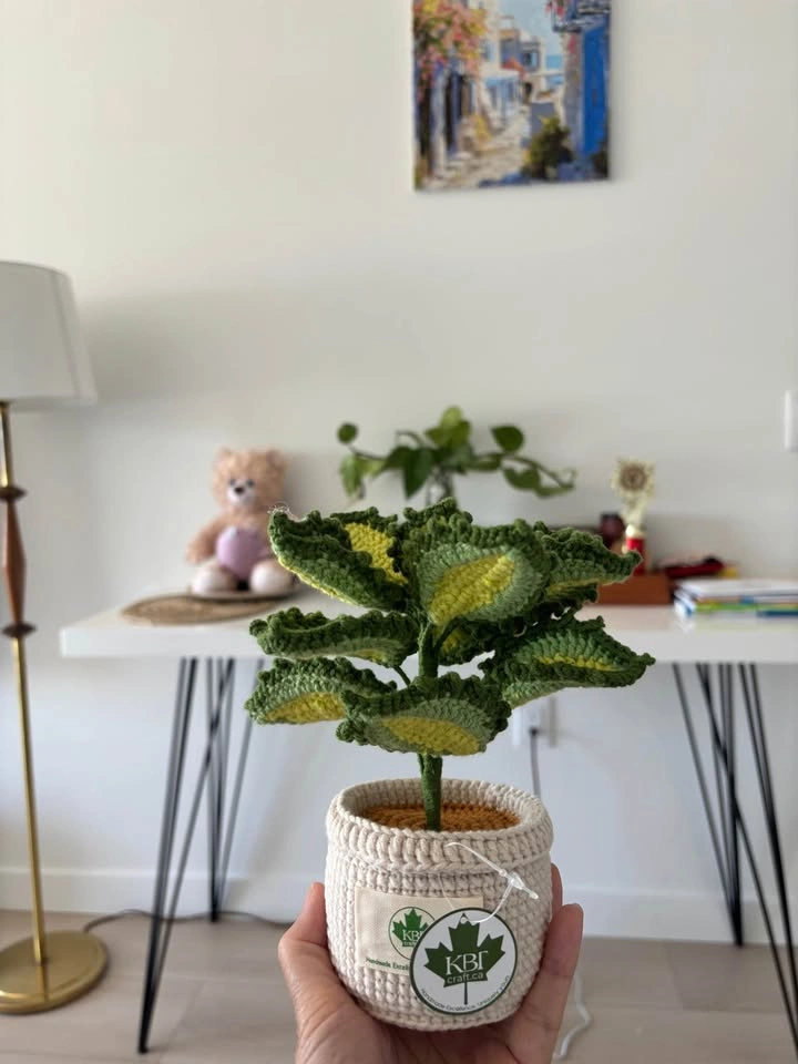 Handmade Crochet Plant Pots - photo 4