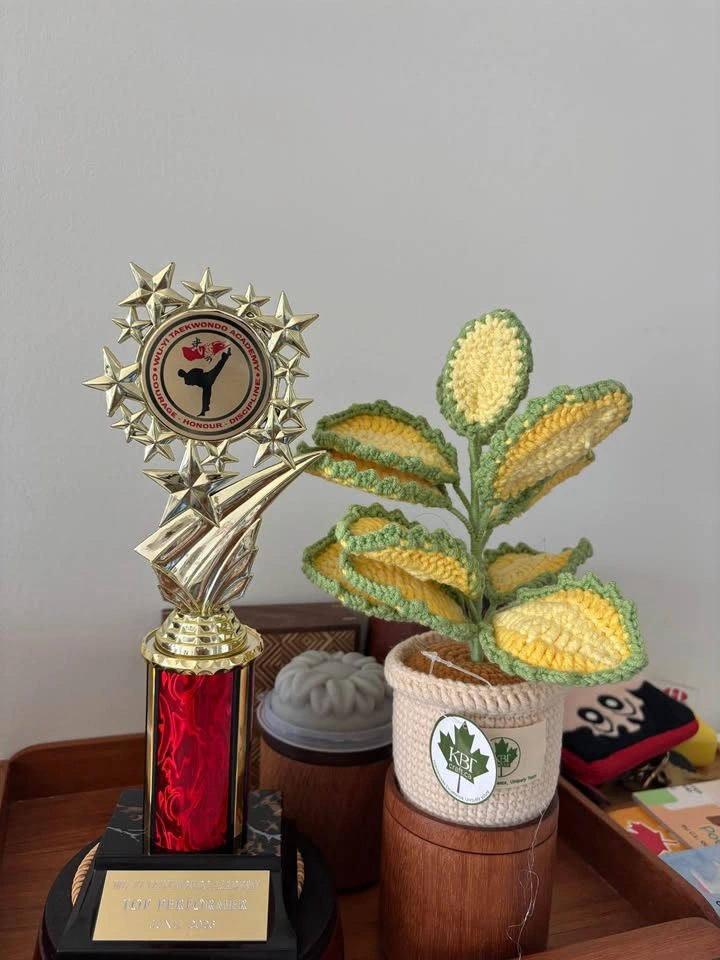 Handmade Crochet Plant Pots - photo 5