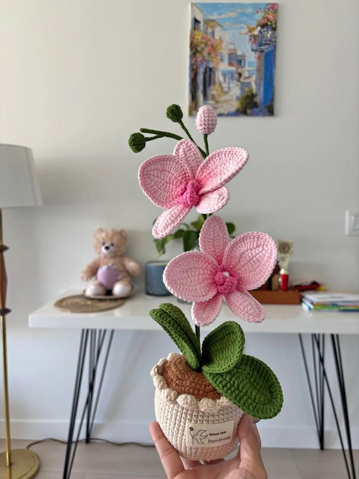 Handmade Crochet Orchid Pots