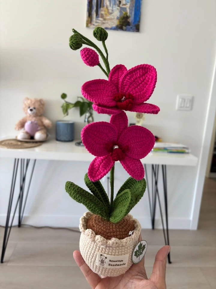 Handmade Crochet Orchid Pots - photo 2