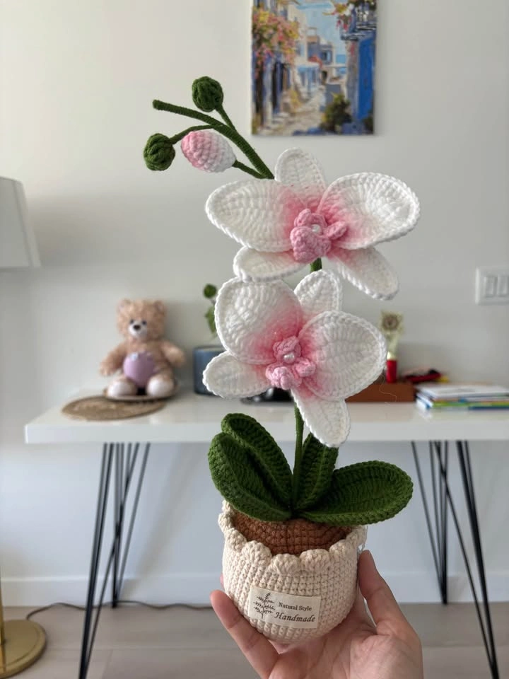 Handmade Crochet Orchid Pots - photo 3