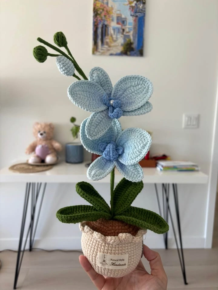 Handmade Crochet Orchid Pots - photo 5