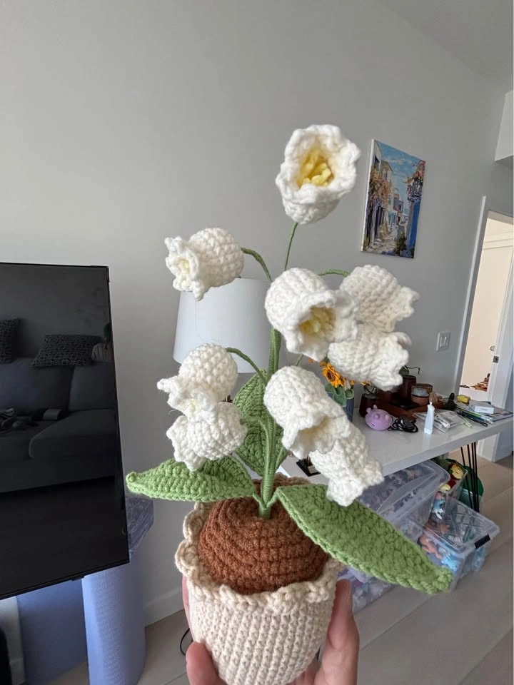 Handmade Crochet Flower Pots – Forever Blooming - photo 3