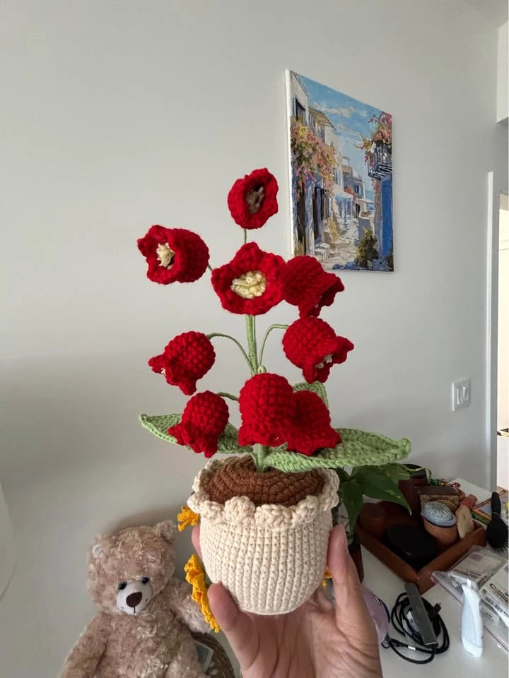 Handmade Crochet Flower Pots – Forever Blooming - photo 5