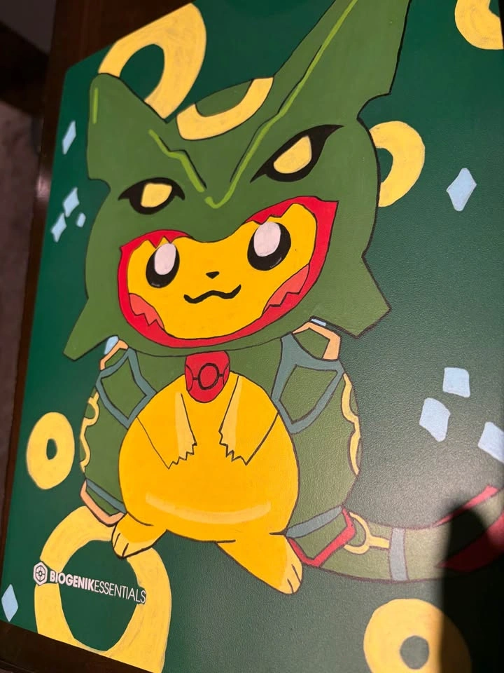Pikachu Poncho: Rayquaza 9 Pocket Hand Painted Binder - photo 5